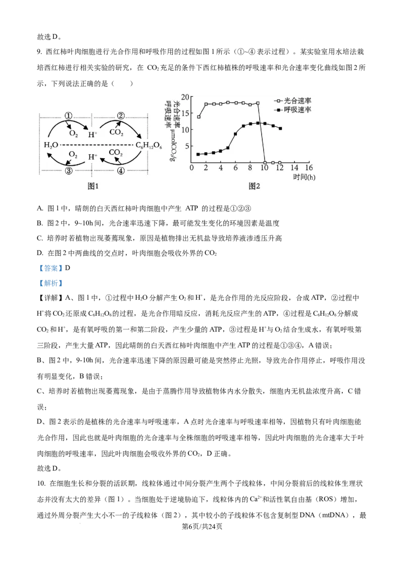 精品解析：山东省实验中学2025&mdash;2026学年高三上学期第一次诊断性考试生物试题（解析版）_2025年10月_251016山东省实验中学2026届高三第一次诊断性考试（10月）