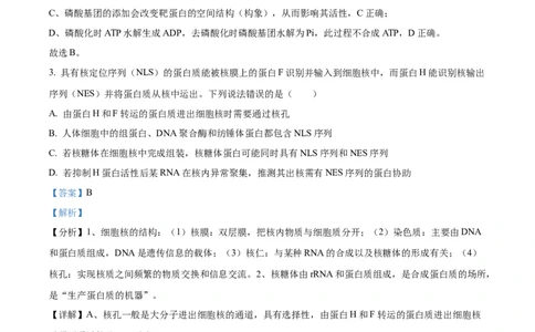 精品解析：山东省实验中学2025&mdash;2026学年高三上学期第一次诊断性考试生物试题（解析版）_2025年10月_251016山东省实验中学2026届高三第一次诊断性考试（10月）