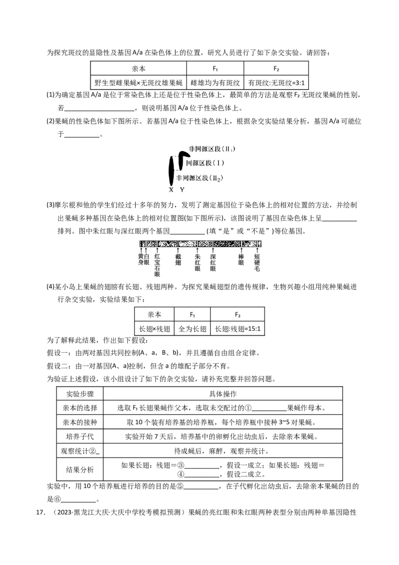 专题08伴性遗传和人类遗传病（学生卷）_近10年高考真题汇编（必刷）_十年（2014-2024）高考生物真题分项汇编（全国通用）_2023年高考真题和模拟题生物分项汇编（全国通用）