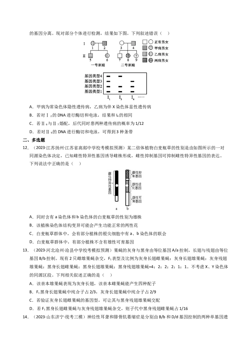 专题08伴性遗传和人类遗传病（学生卷）_近10年高考真题汇编（必刷）_十年（2014-2024）高考生物真题分项汇编（全国通用）_2023年高考真题和模拟题生物分项汇编（全国通用）