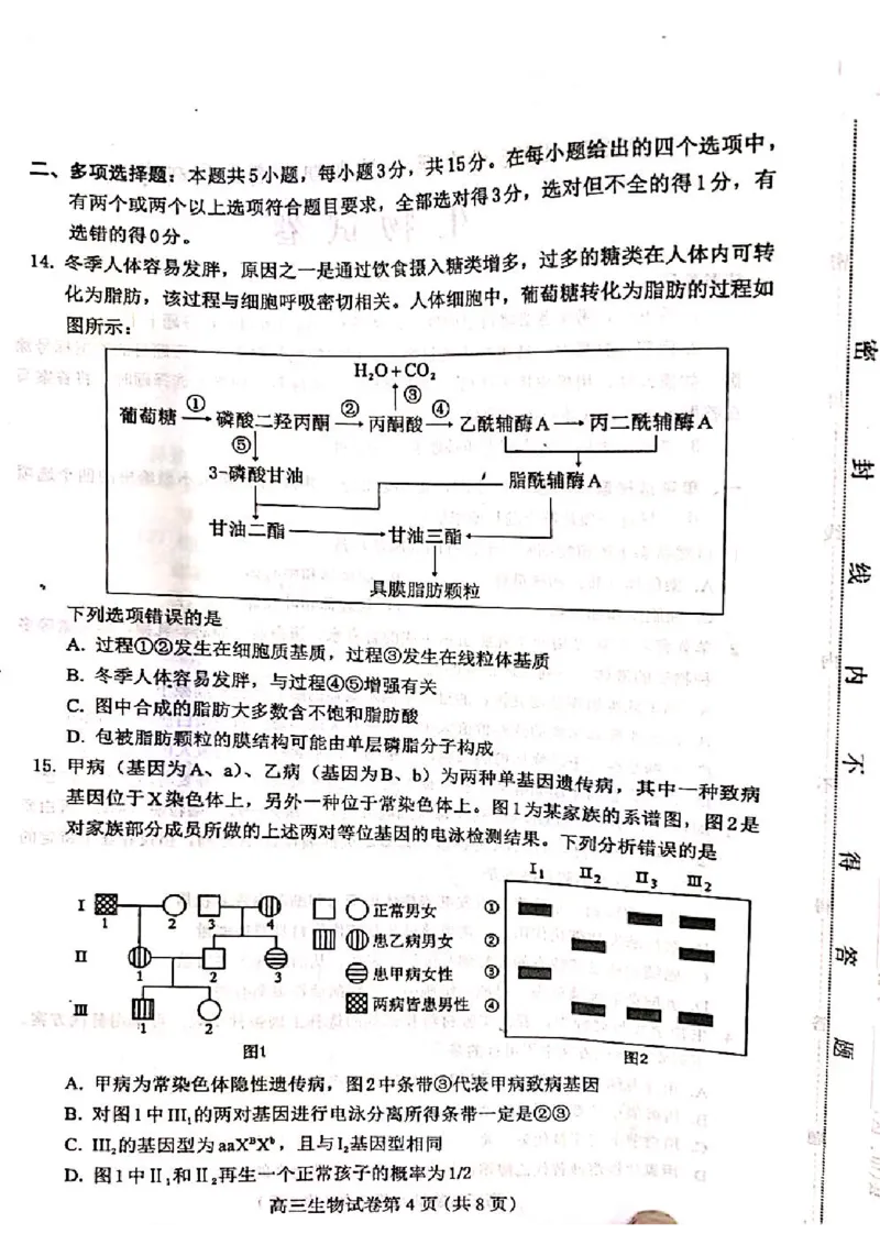 河北省保定市2024-2025学年高三上学期1月期末调研生物_2025年1月_250113河北省保定市2024-2025学年高三上学期1月期末调研考试（全科）_河北省保定市2024-2025学年高三上学期1月期末生物