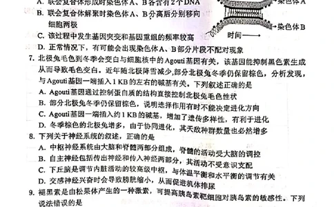河北省保定市2024-2025学年高三上学期1月期末调研生物_2025年1月_250113河北省保定市2024-2025学年高三上学期1月期末调研考试（全科）_河北省保定市2024-2025学年高三上学期1月期末生物