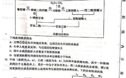 河北省保定市2024-2025学年高三上学期1月期末调研生物_2025年1月_250113河北省保定市2024-2025学年高三上学期1月期末调研考试（全科）_河北省保定市2024-2025学年高三上学期1月期末生物