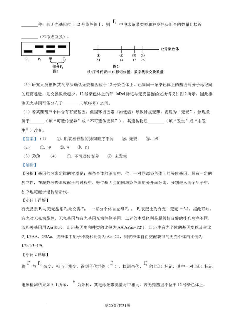 精品解析：河北省唐山市2025-2026学年高三上学期开学生物试题（解析版）_2025年9月_250914河北省唐山市2025-2026学年度高三年级摸底演练（全科）