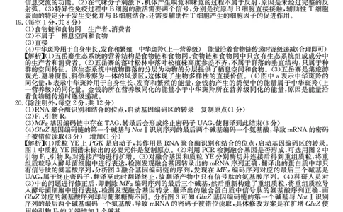 河南省新高中创新联盟2025届高三模拟卷一（25-X-007C-1）生物答案_2025年2月_250209河南省新高中创新联盟2025届高三模拟卷一（25-X-007C-1）（全科）