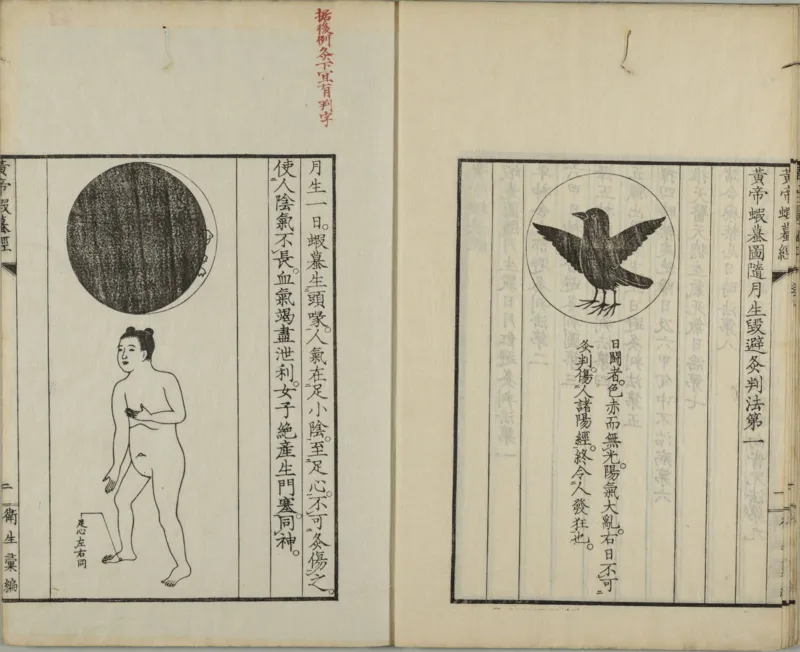 黄帝蝦蟇经.一卷.日本文政六年敬业乐群楼刊卫生汇编本_绝版书_天涯系列_t涯_绝版古籍电子书合集（13大类）_医书类