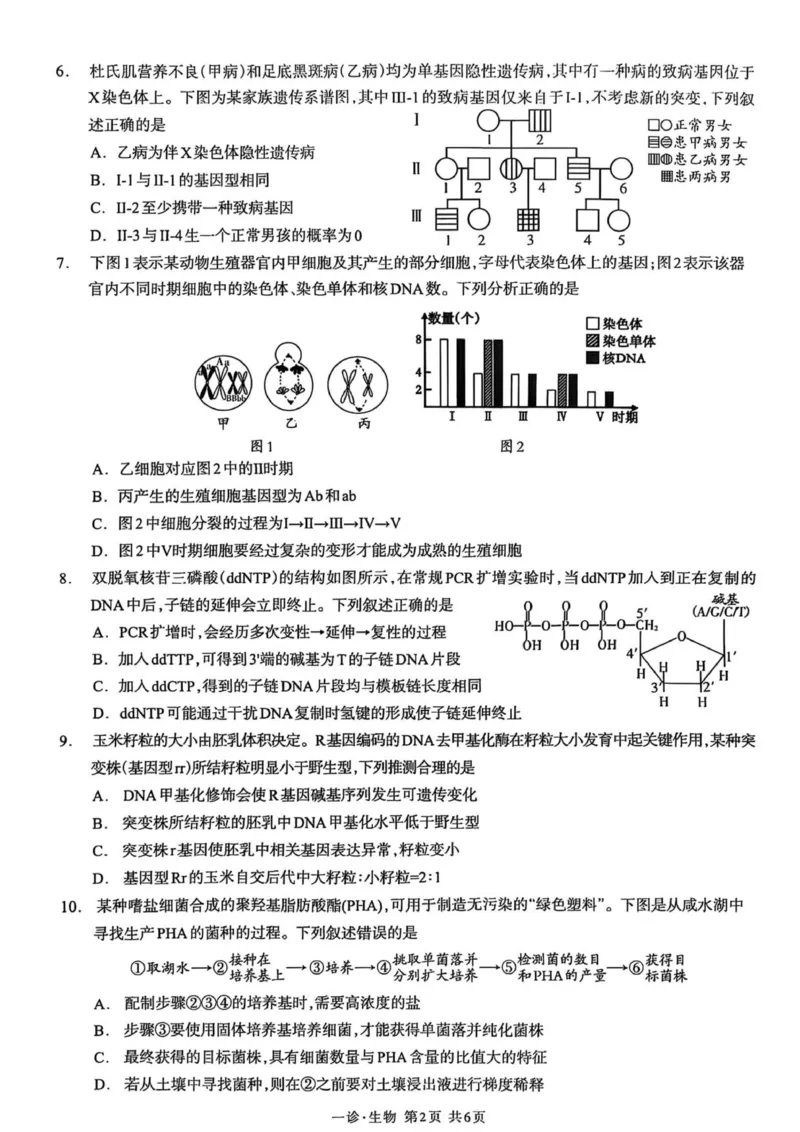 泸州市高2023级第一次教学质量诊断性考试生物学_2025年11月_2511262026届四川省泸州市高三一模（全科）_1209215425_生物
