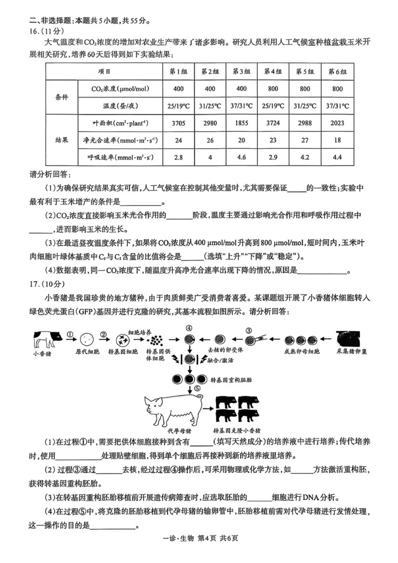 泸州市高2023级第一次教学质量诊断性考试生物学_2025年11月_2511262026届四川省泸州市高三一模（全科）_1209215425_生物