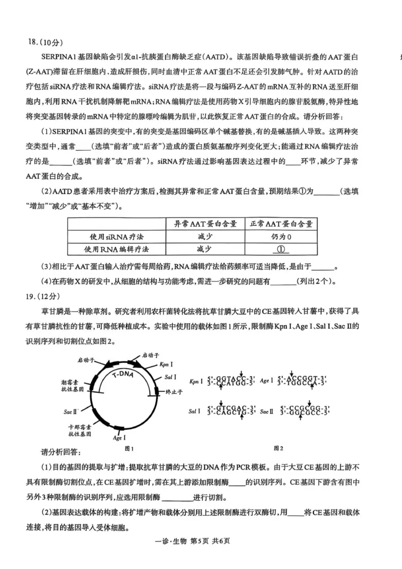 泸州市高2023级第一次教学质量诊断性考试生物学_2025年11月_2511262026届四川省泸州市高三一模（全科）_1209215425_生物