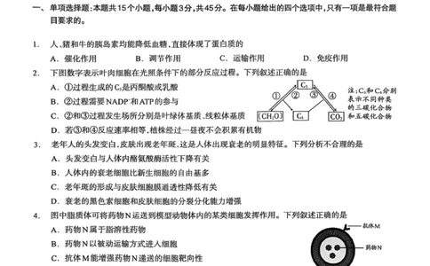 泸州市高2023级第一次教学质量诊断性考试生物学_2025年11月_2511262026届四川省泸州市高三一模（全科）_1209215425_生物