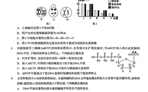 泸州市高2023级第一次教学质量诊断性考试生物学_2025年11月_2511262026届四川省泸州市高三一模（全科）_1209215425_生物