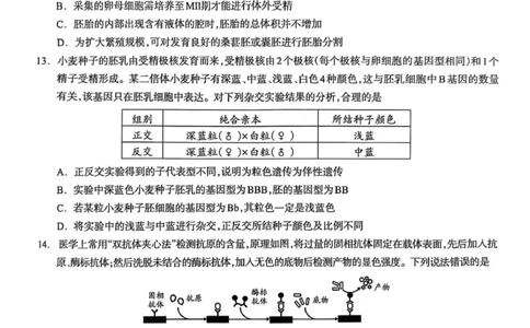 泸州市高2023级第一次教学质量诊断性考试生物学_2025年11月_2511262026届四川省泸州市高三一模（全科）_1209215425_生物