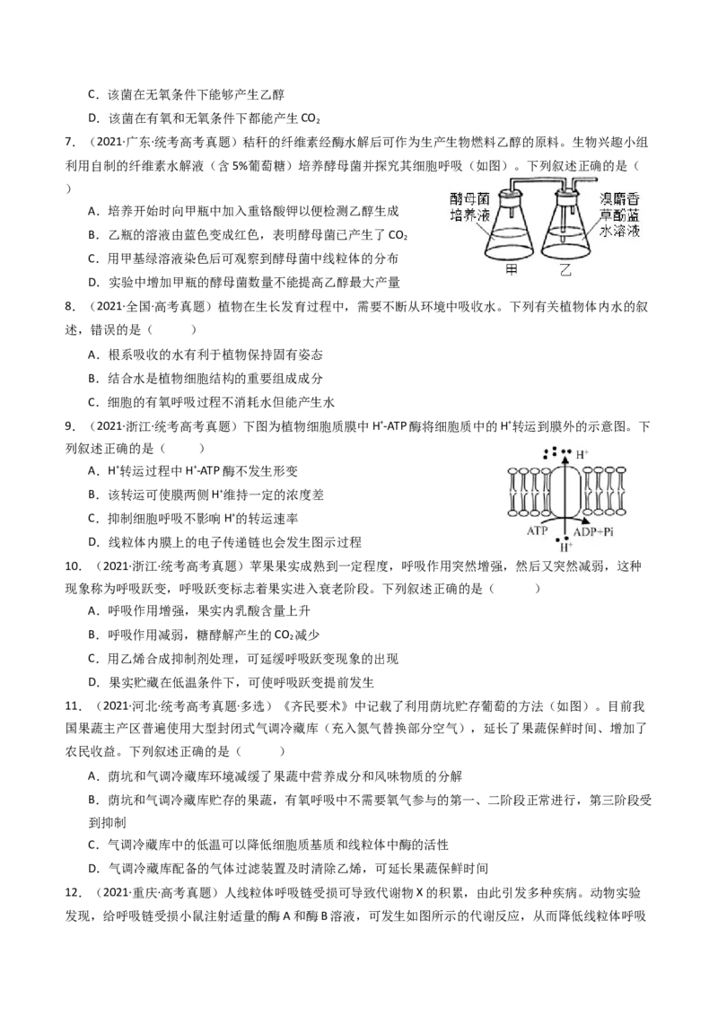 专题05细胞呼吸（原卷卷）_近10年高考真题汇编（必刷）_十年（2014-2024）高考生物真题分项汇编（全国通用）_十年（2014-2023）高考生物真题分项汇编（全国通用）