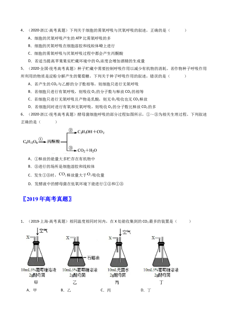 专题05细胞呼吸（原卷卷）_近10年高考真题汇编（必刷）_十年（2014-2024）高考生物真题分项汇编（全国通用）_十年（2014-2023）高考生物真题分项汇编（全国通用）