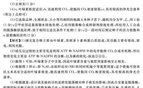 生物（二）答案_2025年4月_2504062025届湖南省部分学校高三&ldquo;一起考&rdquo;大联考（模拟二）（全科）_湖南省2025届高三下学期&ldquo;一起考&rdquo;大联考（模拟二）生物试题（含答案）