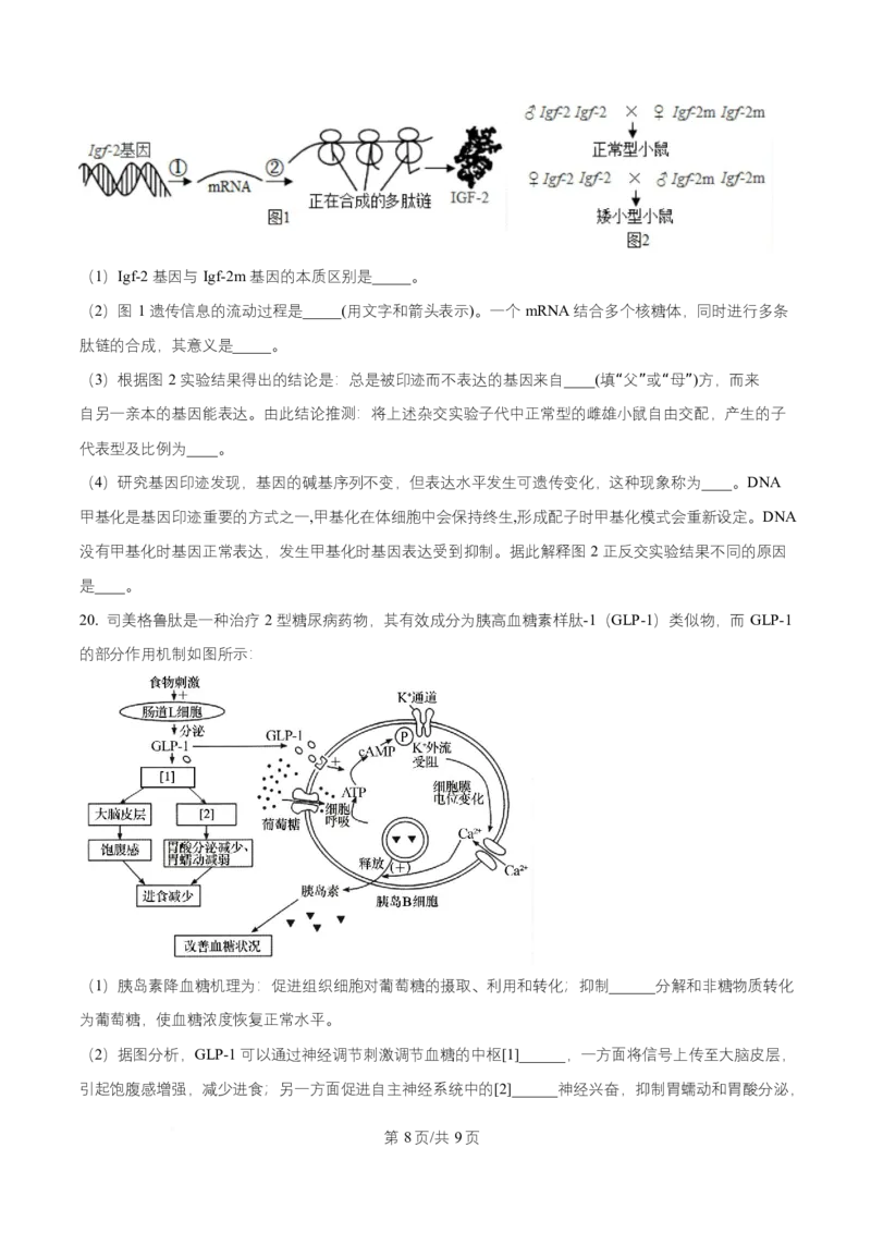 湖南省益阳市2026届高三上学期9月教学质量监测生物试题（原卷版）_2025年9月_250909湖南省益阳市2026届高三上学期9月教学质量监测（全科）