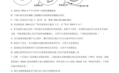 湖南省益阳市2026届高三上学期9月教学质量监测生物试题（原卷版）_2025年9月_250909湖南省益阳市2026届高三上学期9月教学质量监测（全科）