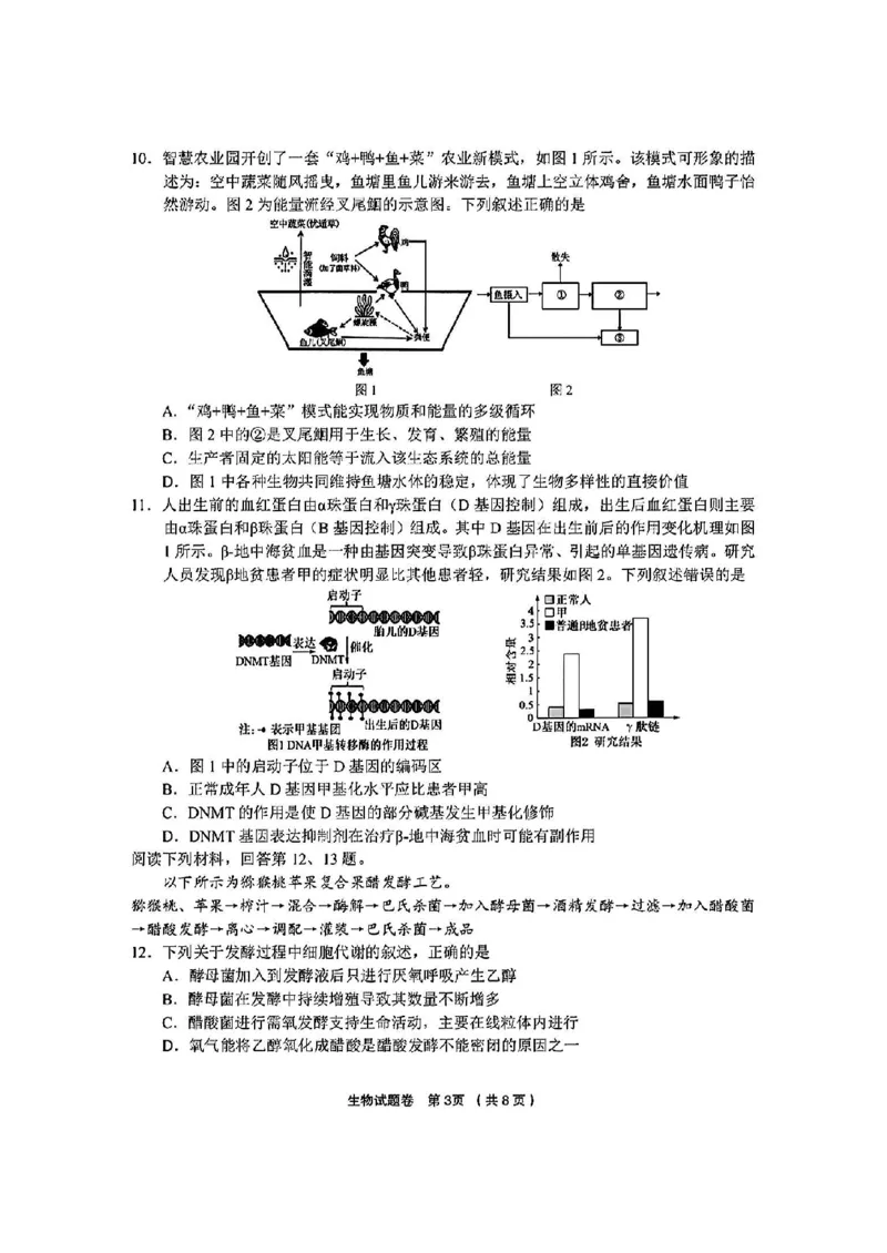 生物试卷_2025年3月_250314浙江省金丽衢十二校2025届高三第二次联考（全科）_生物
