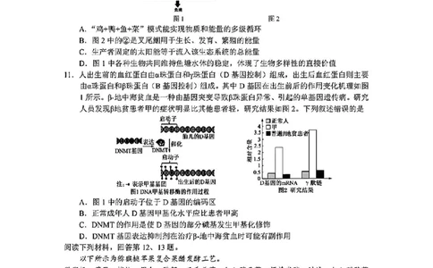 生物试卷_2025年3月_250314浙江省金丽衢十二校2025届高三第二次联考（全科）_生物