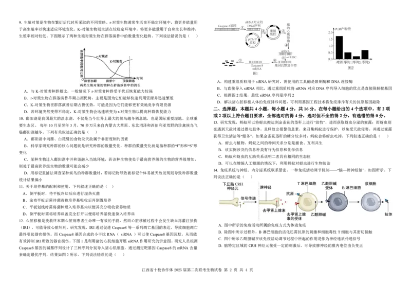 江西省十校协作体2025届高三第二次联考生物_2025年4月_250403江西省十校协作体2025届高三第二次联考（全科）