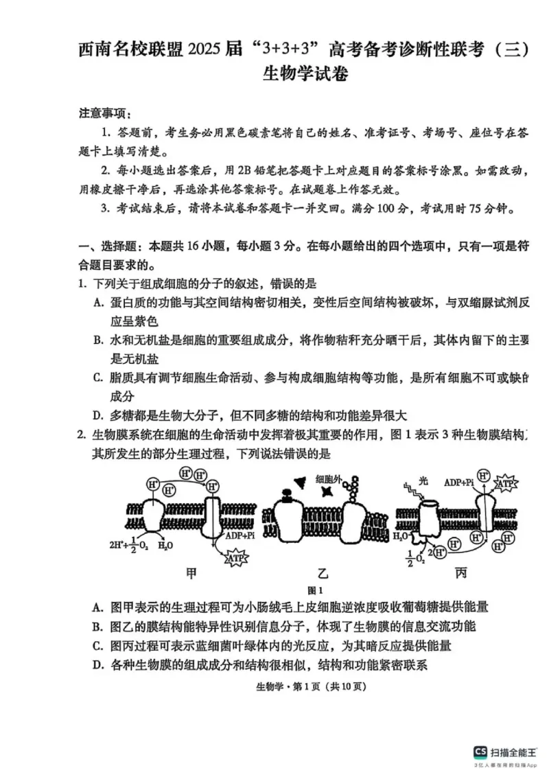 西南名校联盟2025届高三下学期&ldquo;3+3+3&rdquo;高考备考诊断性联考（三）生物_2025年4月_250422西南名校联盟2025届高三下学期&ldquo;3+3+3&rdquo;高考备考诊断性联考（三）（全科）