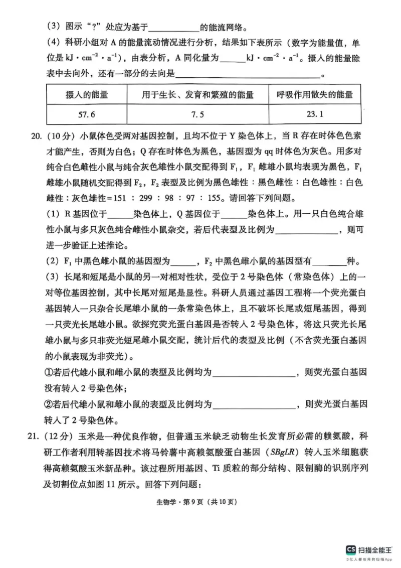 西南名校联盟2025届高三下学期&ldquo;3+3+3&rdquo;高考备考诊断性联考（三）生物_2025年4月_250422西南名校联盟2025届高三下学期&ldquo;3+3+3&rdquo;高考备考诊断性联考（三）（全科）