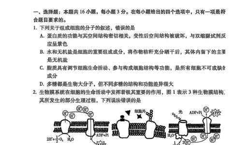 西南名校联盟2025届高三下学期&ldquo;3+3+3&rdquo;高考备考诊断性联考（三）生物_2025年4月_250422西南名校联盟2025届高三下学期&ldquo;3+3+3&rdquo;高考备考诊断性联考（三）（全科）