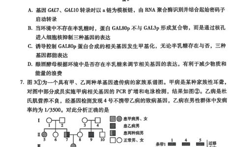 西南名校联盟2025届高三下学期&ldquo;3+3+3&rdquo;高考备考诊断性联考（三）生物_2025年4月_250422西南名校联盟2025届高三下学期&ldquo;3+3+3&rdquo;高考备考诊断性联考（三）（全科）