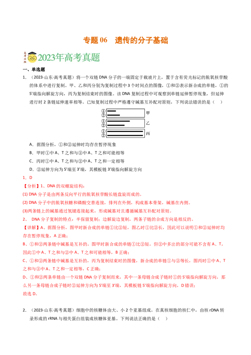 专题06遗传的分子基础（解析卷）_近10年高考真题汇编（必刷）_十年（2014-2024）高考生物真题分项汇编（全国通用）_2023年高考真题和模拟题生物分项汇编（全国通用）