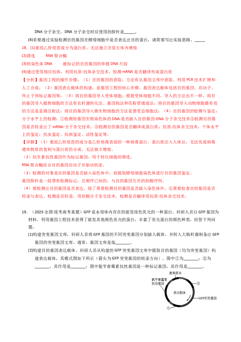专题06遗传的分子基础（解析卷）_近10年高考真题汇编（必刷）_十年（2014-2024）高考生物真题分项汇编（全国通用）_2023年高考真题和模拟题生物分项汇编（全国通用）