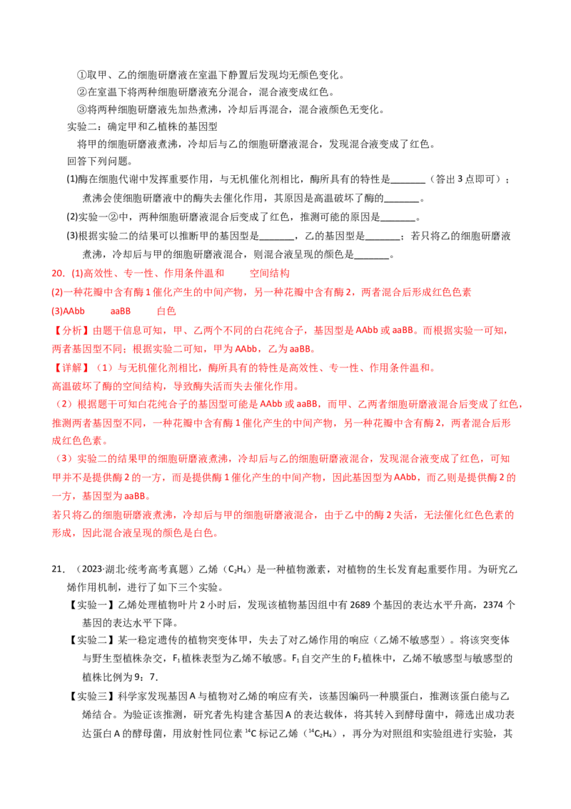 专题06遗传的分子基础（解析卷）_近10年高考真题汇编（必刷）_十年（2014-2024）高考生物真题分项汇编（全国通用）_2023年高考真题和模拟题生物分项汇编（全国通用）