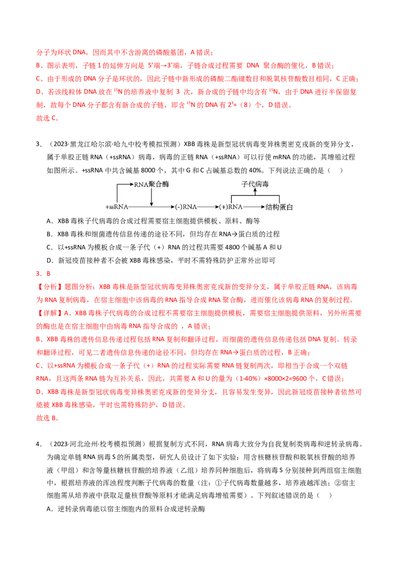 专题06遗传的分子基础（解析卷）_近10年高考真题汇编（必刷）_十年（2014-2024）高考生物真题分项汇编（全国通用）_2023年高考真题和模拟题生物分项汇编（全国通用）