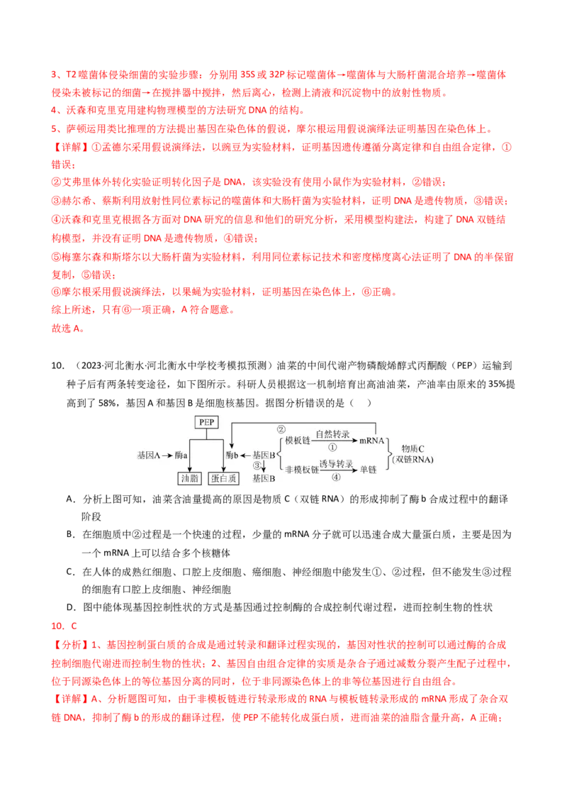 专题06遗传的分子基础（解析卷）_近10年高考真题汇编（必刷）_十年（2014-2024）高考生物真题分项汇编（全国通用）_2023年高考真题和模拟题生物分项汇编（全国通用）