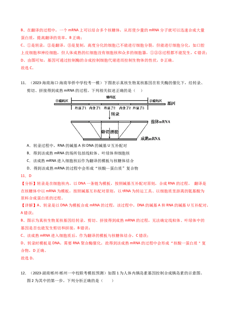 专题06遗传的分子基础（解析卷）_近10年高考真题汇编（必刷）_十年（2014-2024）高考生物真题分项汇编（全国通用）_2023年高考真题和模拟题生物分项汇编（全国通用）