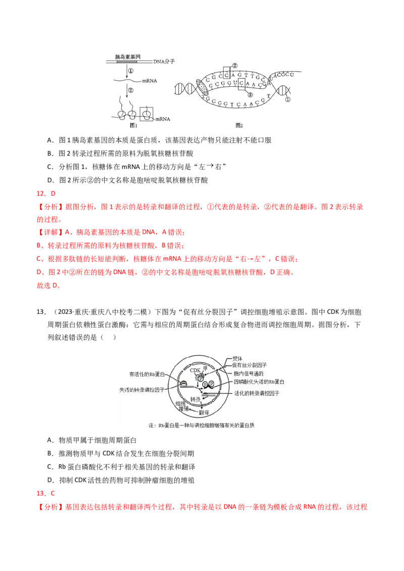 专题06遗传的分子基础（解析卷）_近10年高考真题汇编（必刷）_十年（2014-2024）高考生物真题分项汇编（全国通用）_2023年高考真题和模拟题生物分项汇编（全国通用）