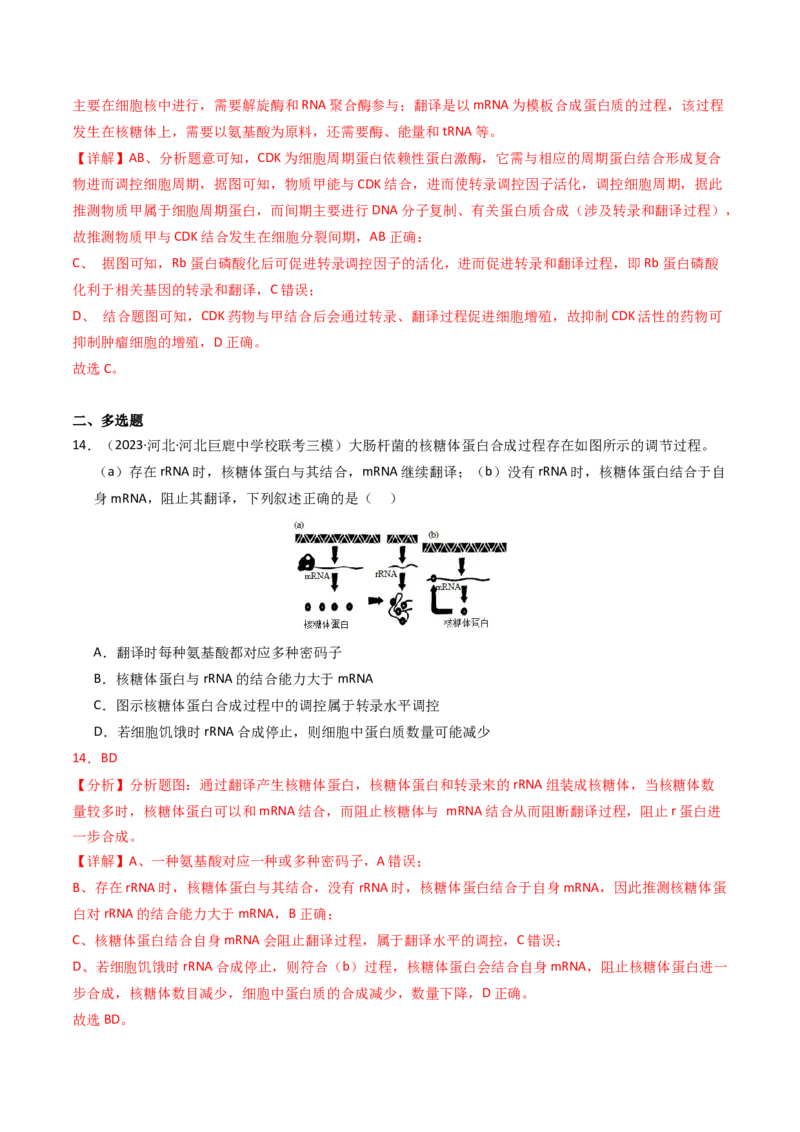 专题06遗传的分子基础（解析卷）_近10年高考真题汇编（必刷）_十年（2014-2024）高考生物真题分项汇编（全国通用）_2023年高考真题和模拟题生物分项汇编（全国通用）