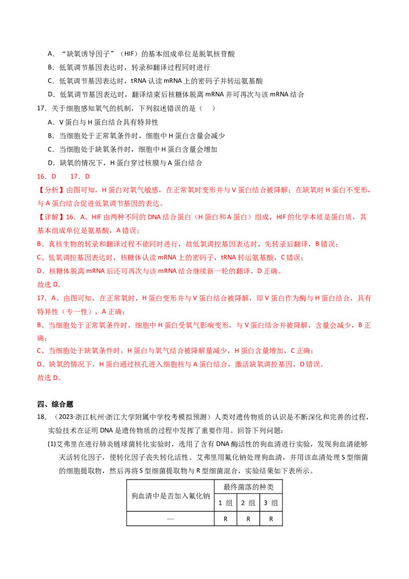 专题06遗传的分子基础（解析卷）_近10年高考真题汇编（必刷）_十年（2014-2024）高考生物真题分项汇编（全国通用）_2023年高考真题和模拟题生物分项汇编（全国通用）