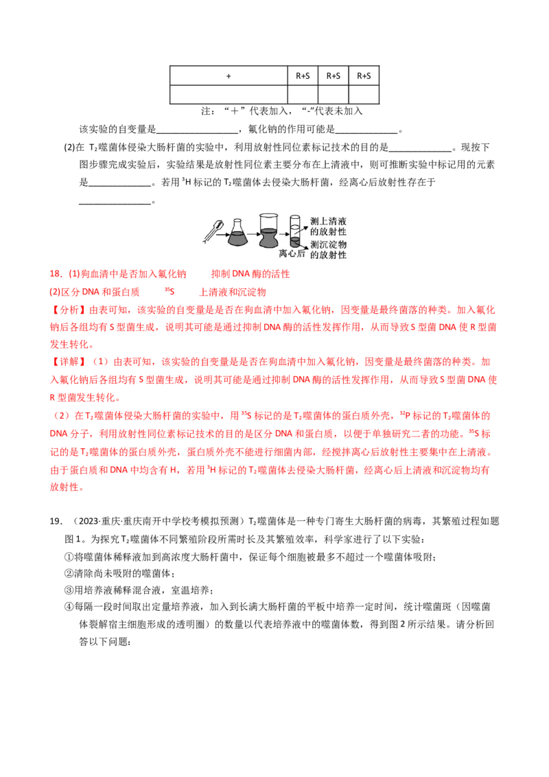 专题06遗传的分子基础（解析卷）_近10年高考真题汇编（必刷）_十年（2014-2024）高考生物真题分项汇编（全国通用）_2023年高考真题和模拟题生物分项汇编（全国通用）