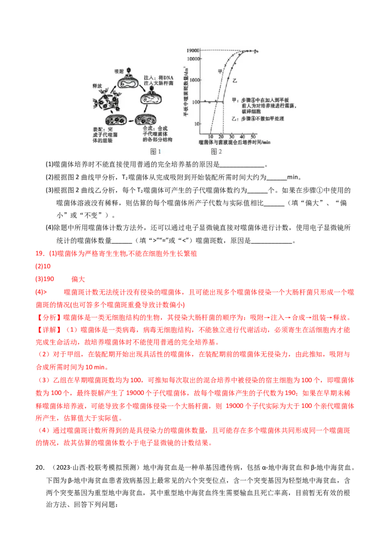 专题06遗传的分子基础（解析卷）_近10年高考真题汇编（必刷）_十年（2014-2024）高考生物真题分项汇编（全国通用）_2023年高考真题和模拟题生物分项汇编（全国通用）