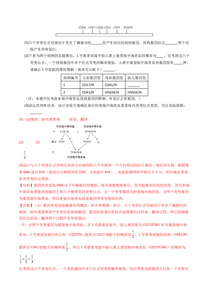 专题06遗传的分子基础（解析卷）_近10年高考真题汇编（必刷）_十年（2014-2024）高考生物真题分项汇编（全国通用）_2023年高考真题和模拟题生物分项汇编（全国通用）