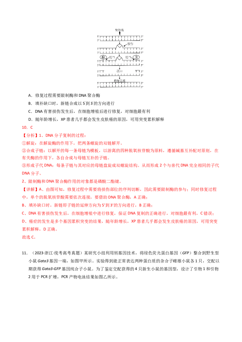 专题06遗传的分子基础（解析卷）_近10年高考真题汇编（必刷）_十年（2014-2024）高考生物真题分项汇编（全国通用）_2023年高考真题和模拟题生物分项汇编（全国通用）