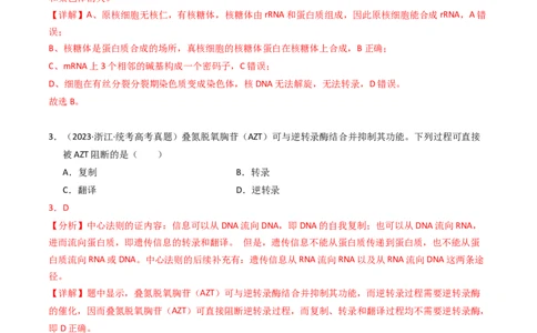 专题06遗传的分子基础（解析卷）_近10年高考真题汇编（必刷）_十年（2014-2024）高考生物真题分项汇编（全国通用）_2023年高考真题和模拟题生物分项汇编（全国通用）