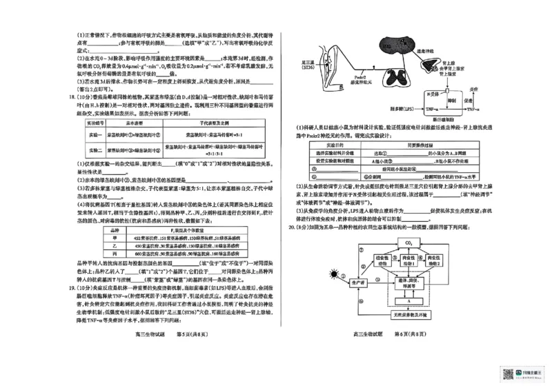 生物试卷长治市2025-2026学年高三上学期9月质量检测卷_2025年9月_250922山西省长治市2025-2026学年高三上学期9月质量监测（全科）_山西省长治市2024-2025学年高三上学期9月质量监测生物
