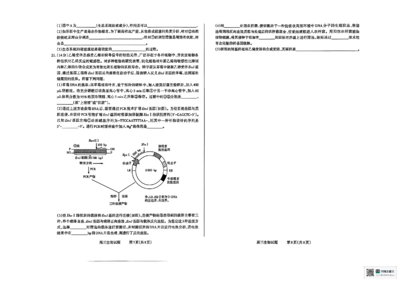 生物试卷长治市2025-2026学年高三上学期9月质量检测卷_2025年9月_250922山西省长治市2025-2026学年高三上学期9月质量监测（全科）_山西省长治市2024-2025学年高三上学期9月质量监测生物