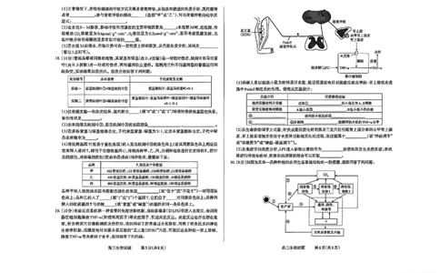 生物试卷长治市2025-2026学年高三上学期9月质量检测卷_2025年9月_250922山西省长治市2025-2026学年高三上学期9月质量监测（全科）_山西省长治市2024-2025学年高三上学期9月质量监测生物