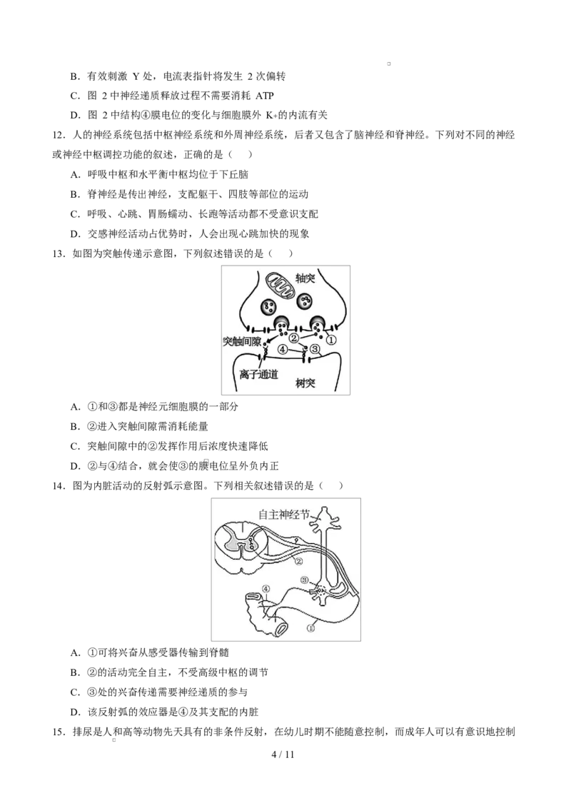 高二生物第一次月考卷测试范围：人教版2019选择性必修1第1章~第3章（考试版）_1多考区联考试卷_2510142025-2026学年高二生物上学期第一次月考试题