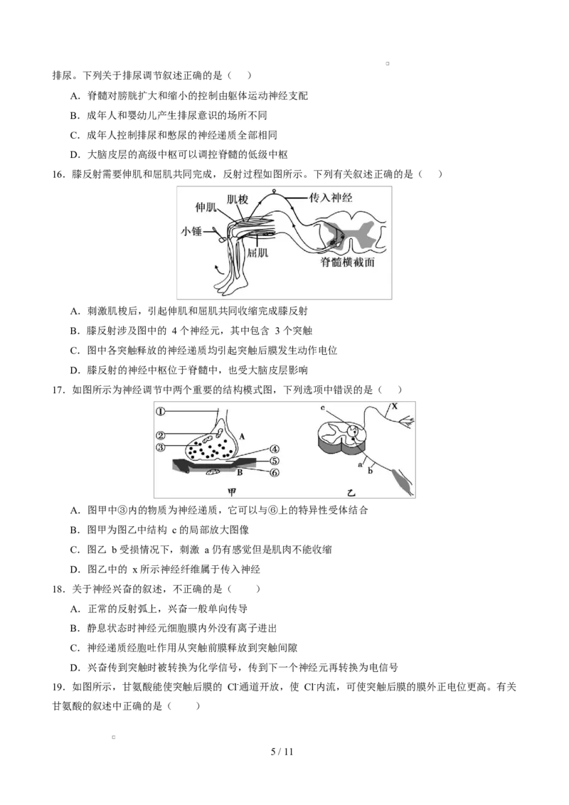 高二生物第一次月考卷测试范围：人教版2019选择性必修1第1章~第3章（考试版）_1多考区联考试卷_2510142025-2026学年高二生物上学期第一次月考试题