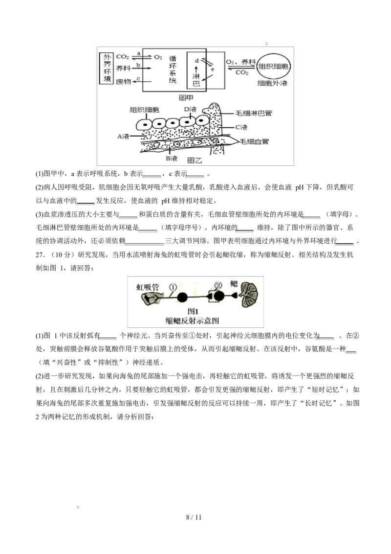 高二生物第一次月考卷测试范围：人教版2019选择性必修1第1章~第3章（考试版）_1多考区联考试卷_2510142025-2026学年高二生物上学期第一次月考试题