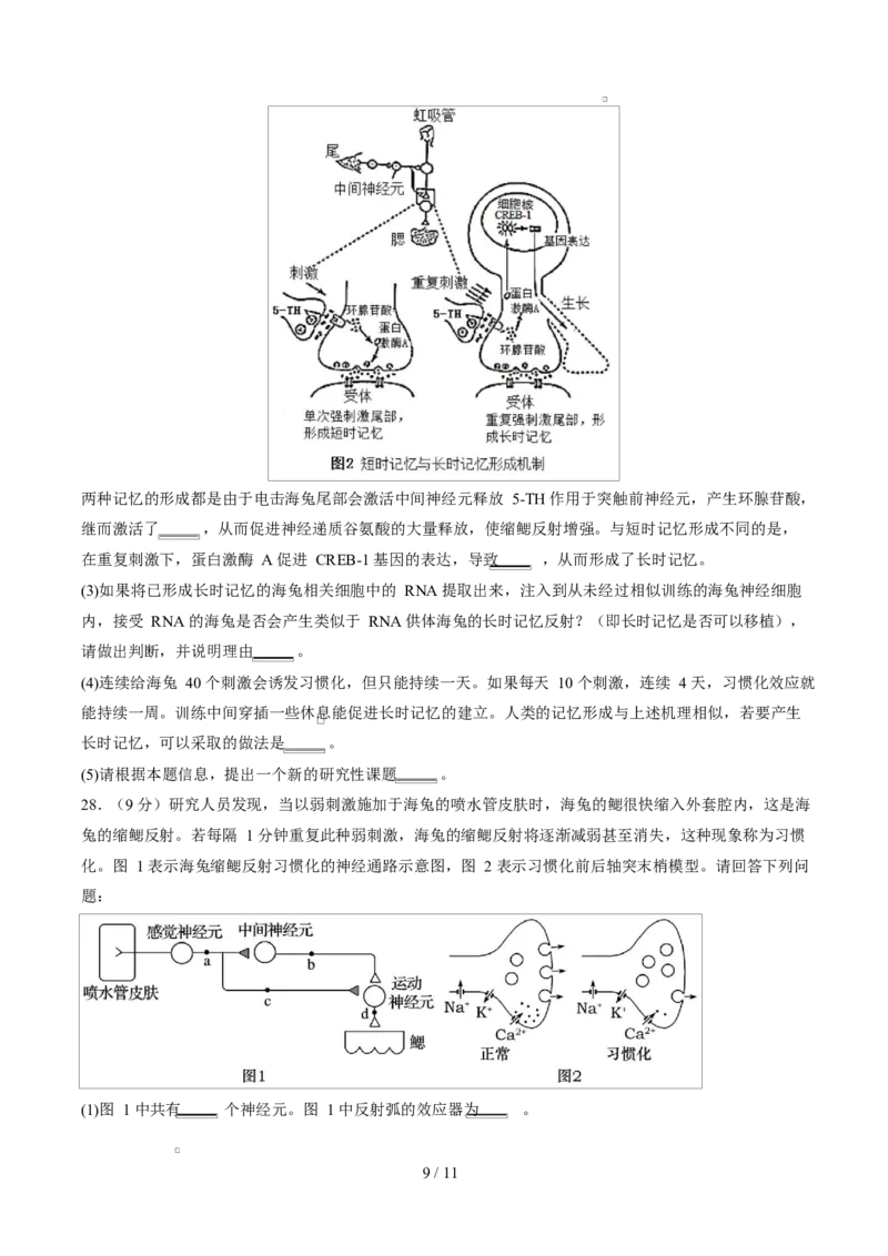 高二生物第一次月考卷测试范围：人教版2019选择性必修1第1章~第3章（考试版）_1多考区联考试卷_2510142025-2026学年高二生物上学期第一次月考试题