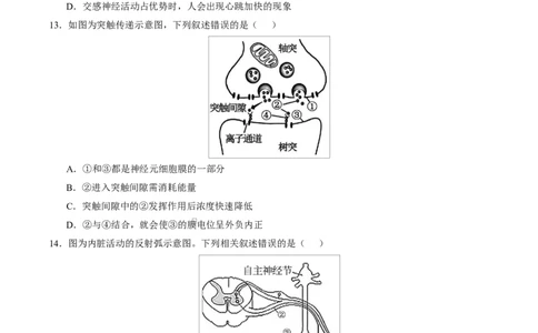 高二生物第一次月考卷测试范围：人教版2019选择性必修1第1章~第3章（考试版）_1多考区联考试卷_2510142025-2026学年高二生物上学期第一次月考试题